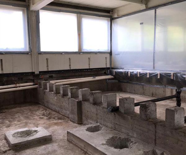 asbest saneren tu eindhoven